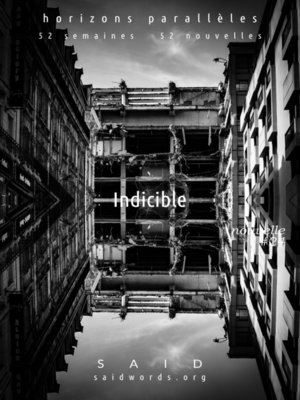 cover image of Indicible